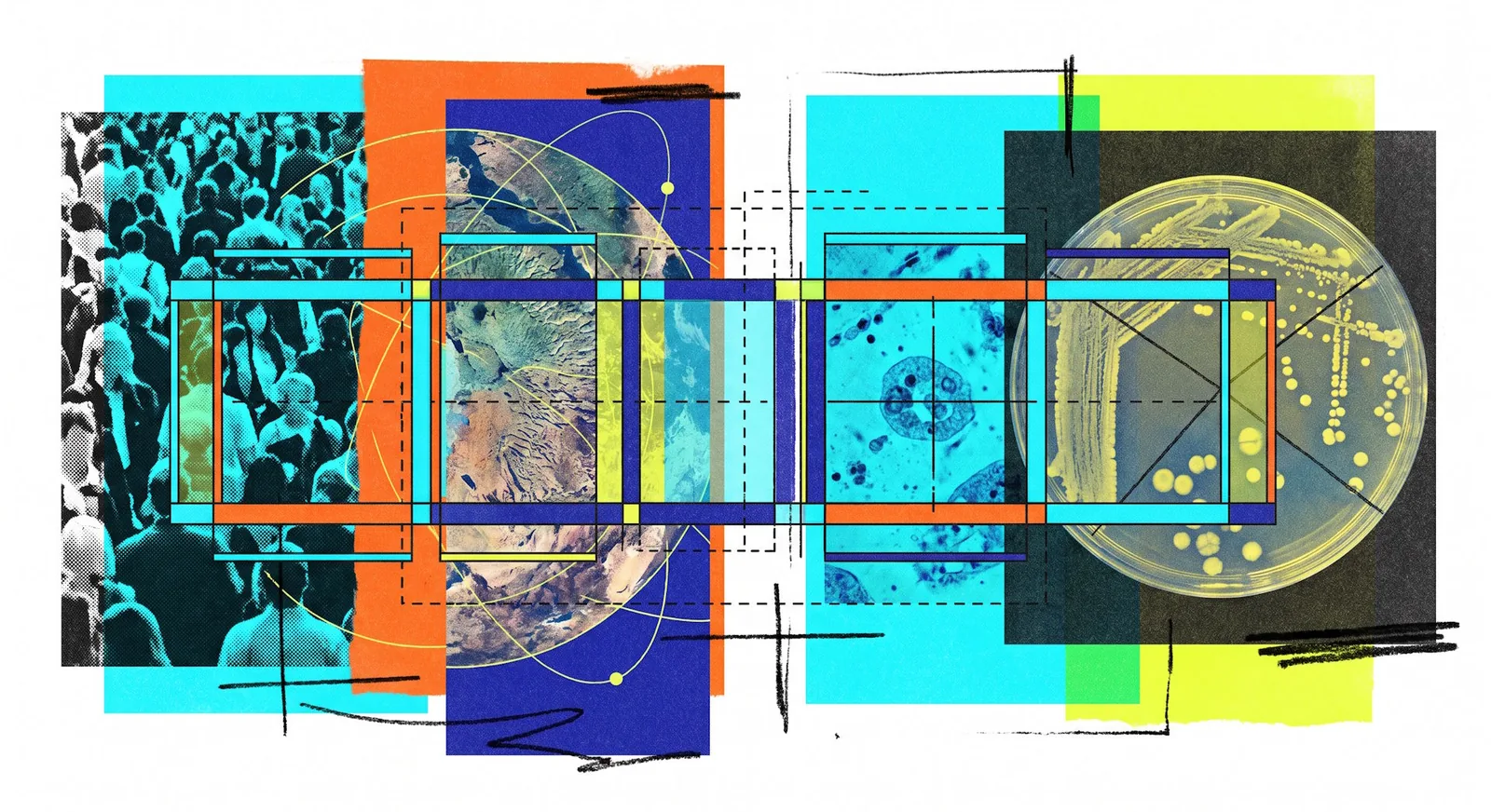 Count Anything: el modelo IA que cuenta lo que le pidas por prompt