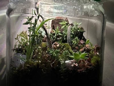 Raspberrarium: ciclo lunar y solar con dos LED y Raspberry Pi