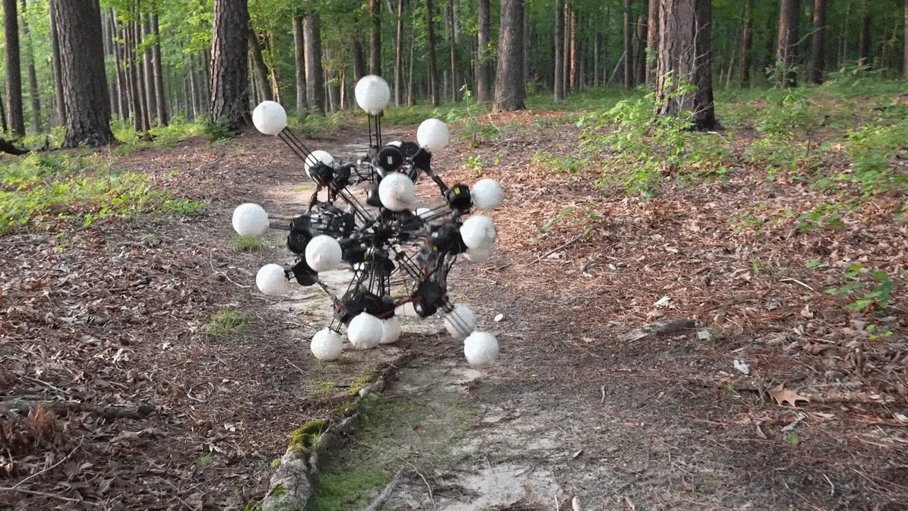 Video Friday IEEE: Argus, manos de 5 dedos y Moby con 22 kilos