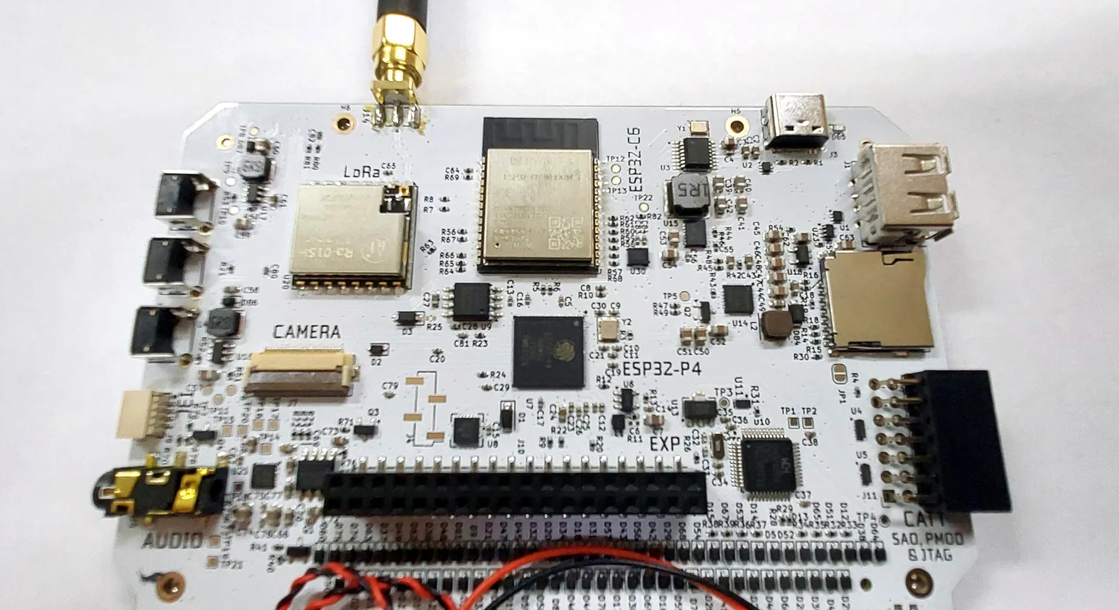La PCB desnuda con el conector de expansión al centro-abajo