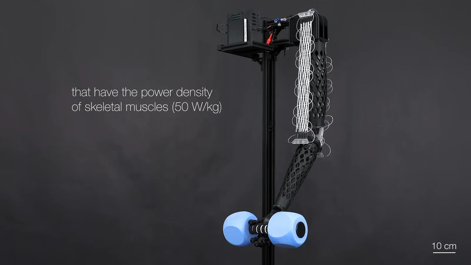 Músculos de fibra electrofluídicos para robots humanoides