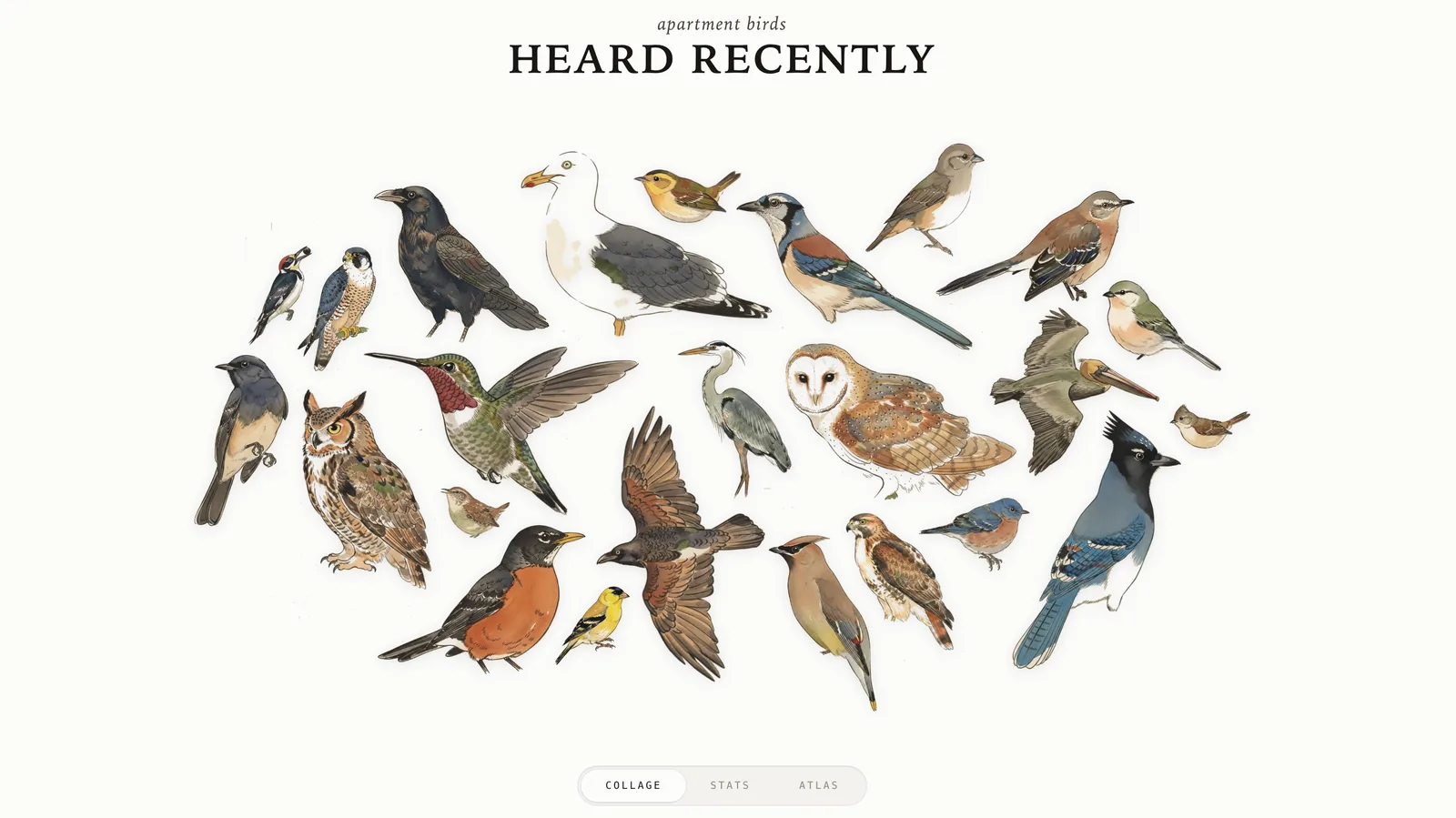Crea un registro de aves con Raspberry Pi y BirdNET
