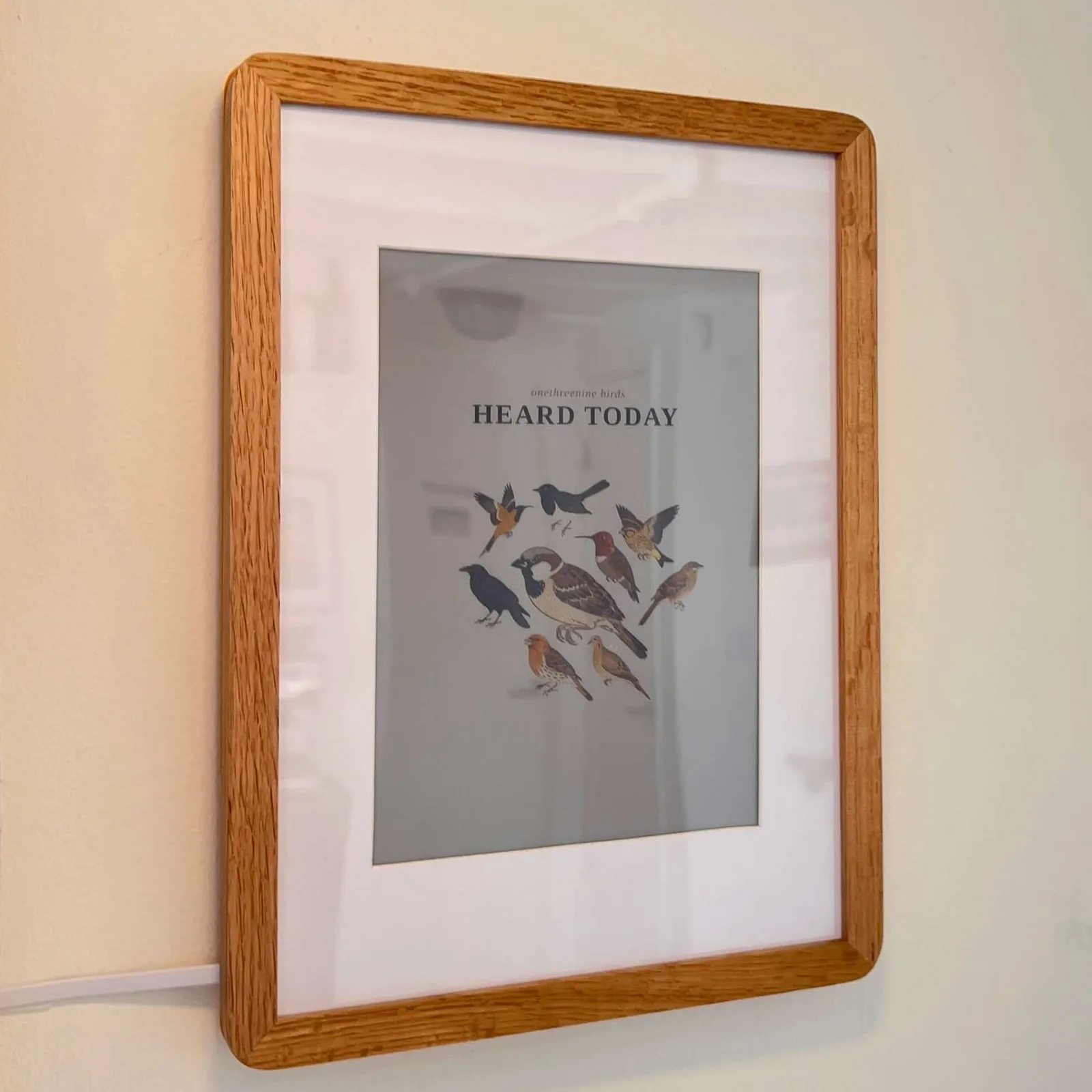 Pantalla E-Ink mostrando un collage de aves identificadas por el sistema