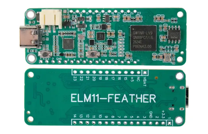 Placa de desarrollo FPGA Gowin GW1NR9 en formato Feather