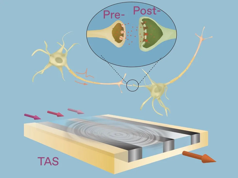 Ondas de sonido dan a los chips neuromórficos ventaja sobre los electrón