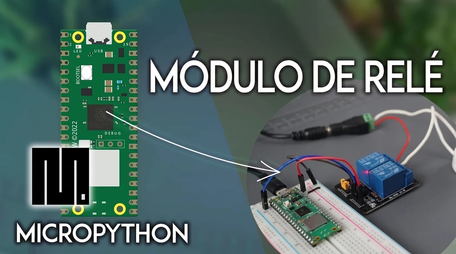 Raspberry Pi Pico + módulo relé con MicroPython: controla lámparas y bombas 12V