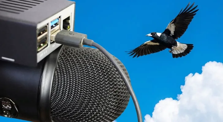 Identificador de aves en tiempo real con Raspberry Pi y BirdNET Pi