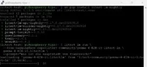 Descarga del modelo Gemma 4 E2B con LiteRT en la Raspberry Pi