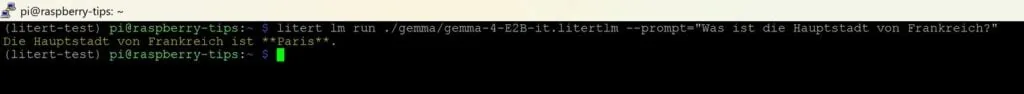 Primera respuesta de Gemma 4 E2B en el terminal de LiteRT LM