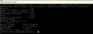 Benchmark de Gemma 4 E2B en la Raspberry Pi 5
