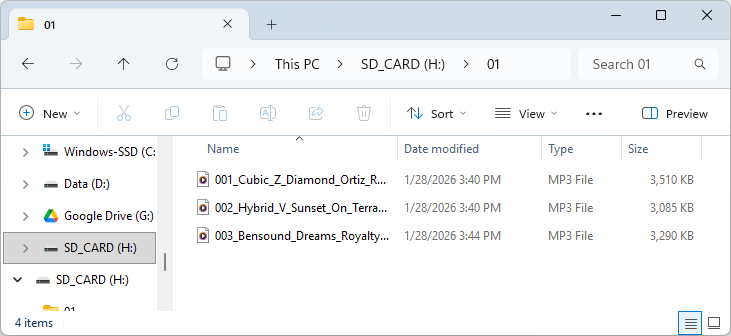 Estructura correcta de carpetas y nombres de archivos en la microSD del YX5300
