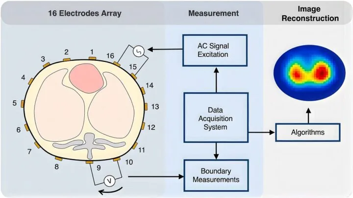 Esquema del sistema EIT con el arreglo de electrodos, la excitación de señal alterna, la adquisición de datos, las mediciones de borde y la reconstrucción de imagen