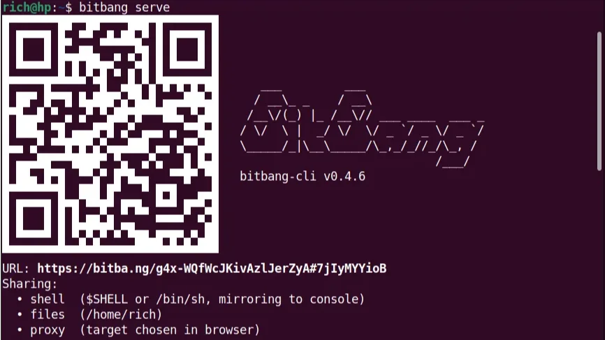 Conexiones P2P cifradas: BitBang elimina la necesidad de VPN
