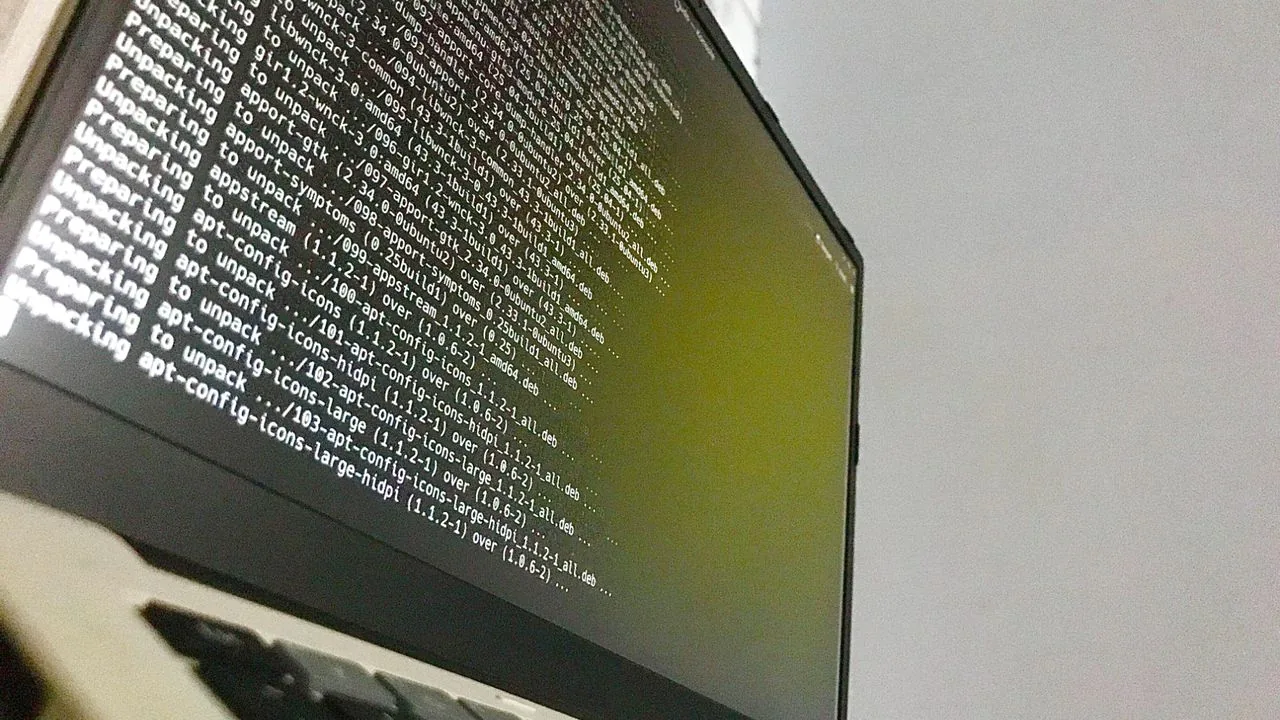 Linus Torvalds: la lista de seguridad del kernel ya es inmanejable